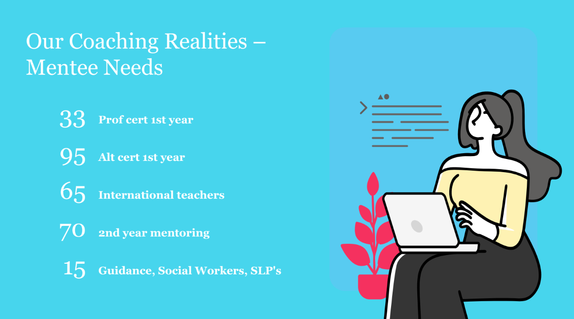 Hernando County School District coaching realities. The number of first year (33), second year (70), alternatively certified (95), international (65), and other teachers (15) needing coaching.